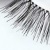 .30A Go Wild Natural Lashes
