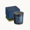 iconesse scented candle fragrant meadow (box)