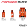 redken frizz dismiss rebel tame 250ml (hair routine)